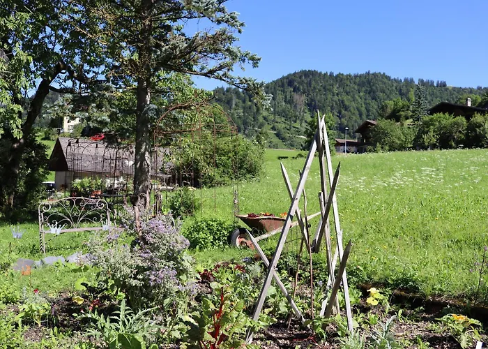 Bed & Breakfast La Reine Des Pres La Tine